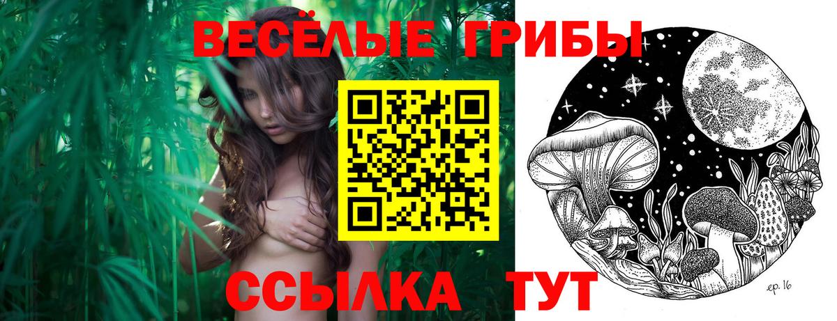 Соликамск  Псилоцибиновые грибы Magic Shrooms  Вход с VPN  Галлюциногенные грибы прущие грибы 